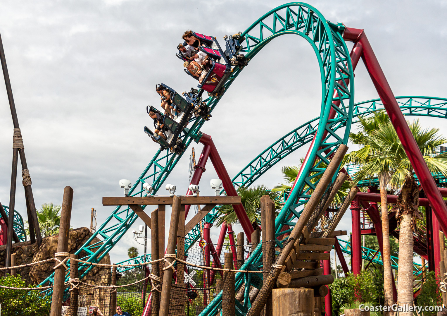 Spinning Roller Coaster - pictures of the Cobra's Curse thrill ride at Busch Gardens Tampa Bay