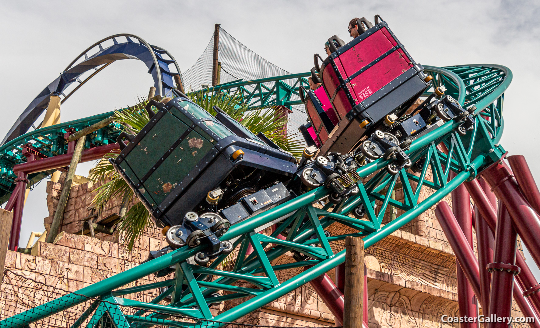 Pictures and videos of the Cobra's Curse roller coaster in Tampa, Florida