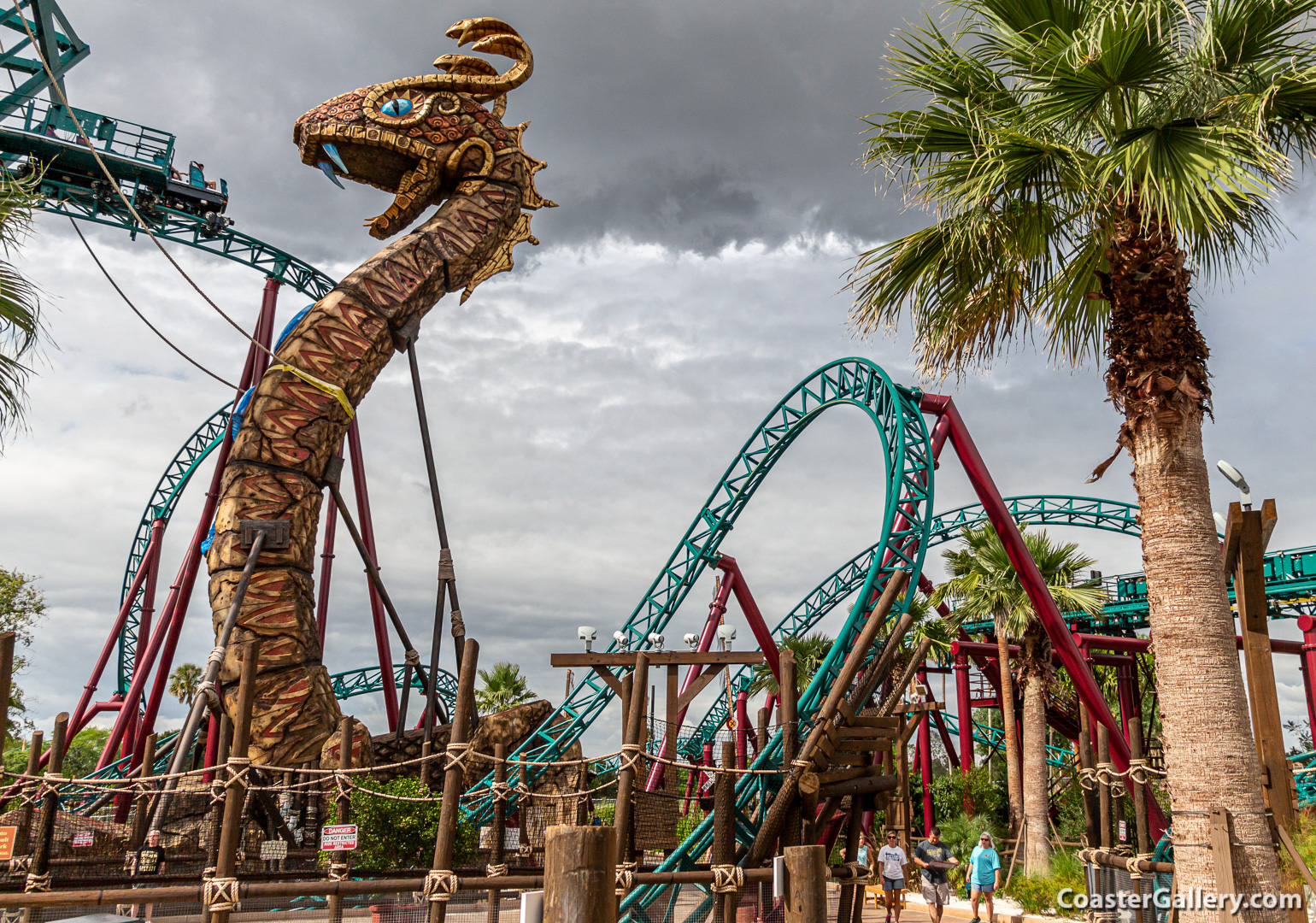 Pictures and videos of the Cobra's Curse roller coaster in Tampa, Florida