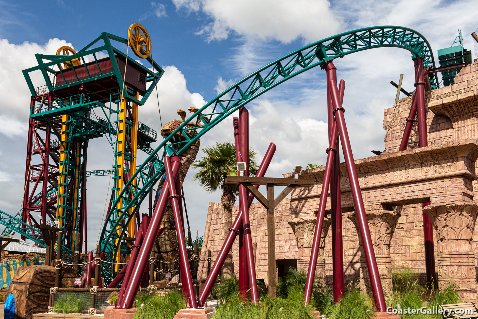 Cobra's Curse and Montu roller coasters at Busch Gardens Tampa