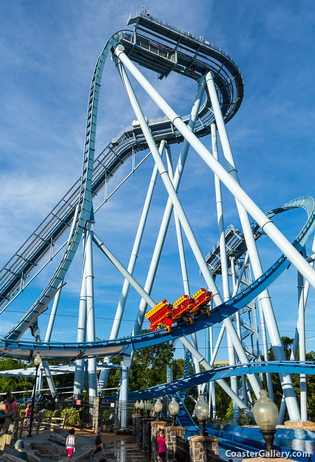 Griffon roller coaster pics