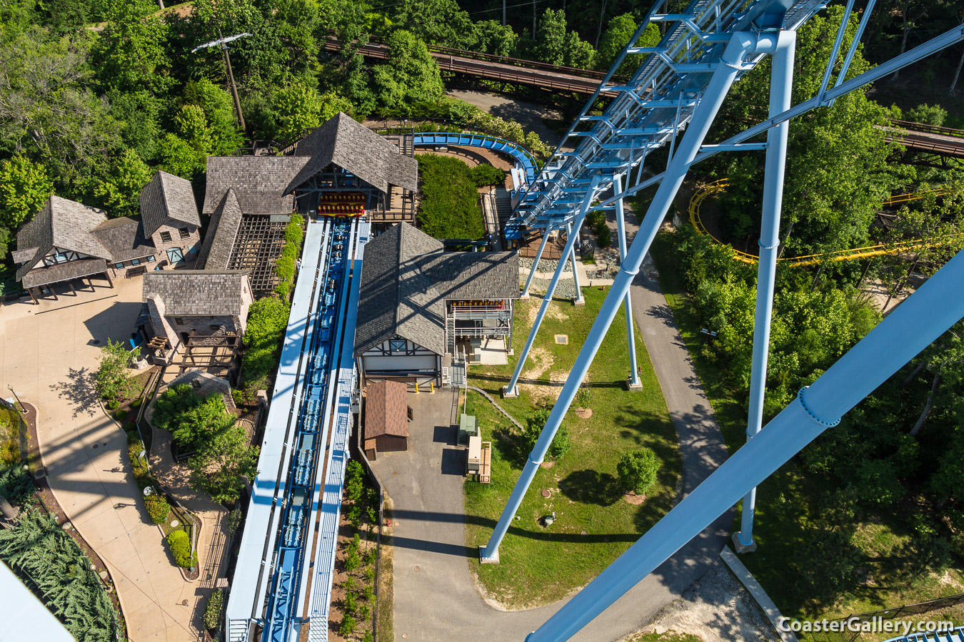 Griffon roller coaster pictures