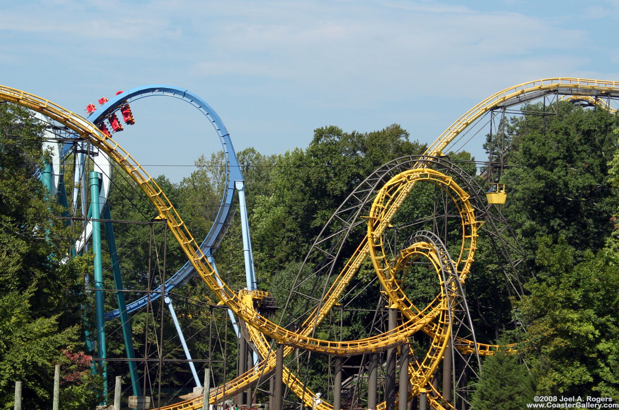 The woods of Busch Gardens - Best Landscaping of an amusement park