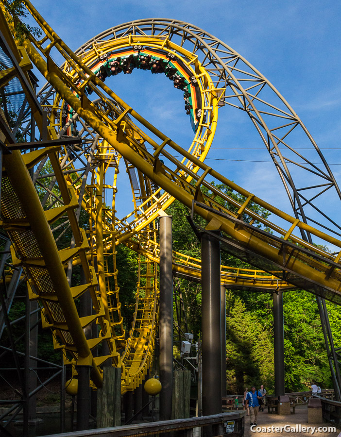 Pictures of a coaster with interlocking loops.