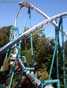 Pictures of Busch Gardens