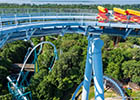 Griffon roller coaster
