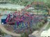 Six Flags news and information