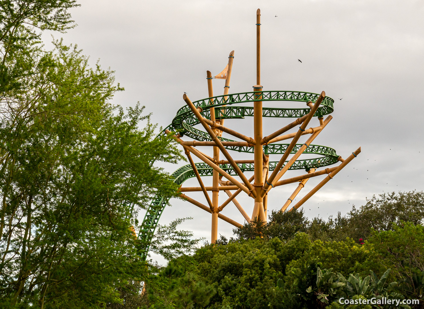 Monorails and the Serengeti Plain at Busch Gardens