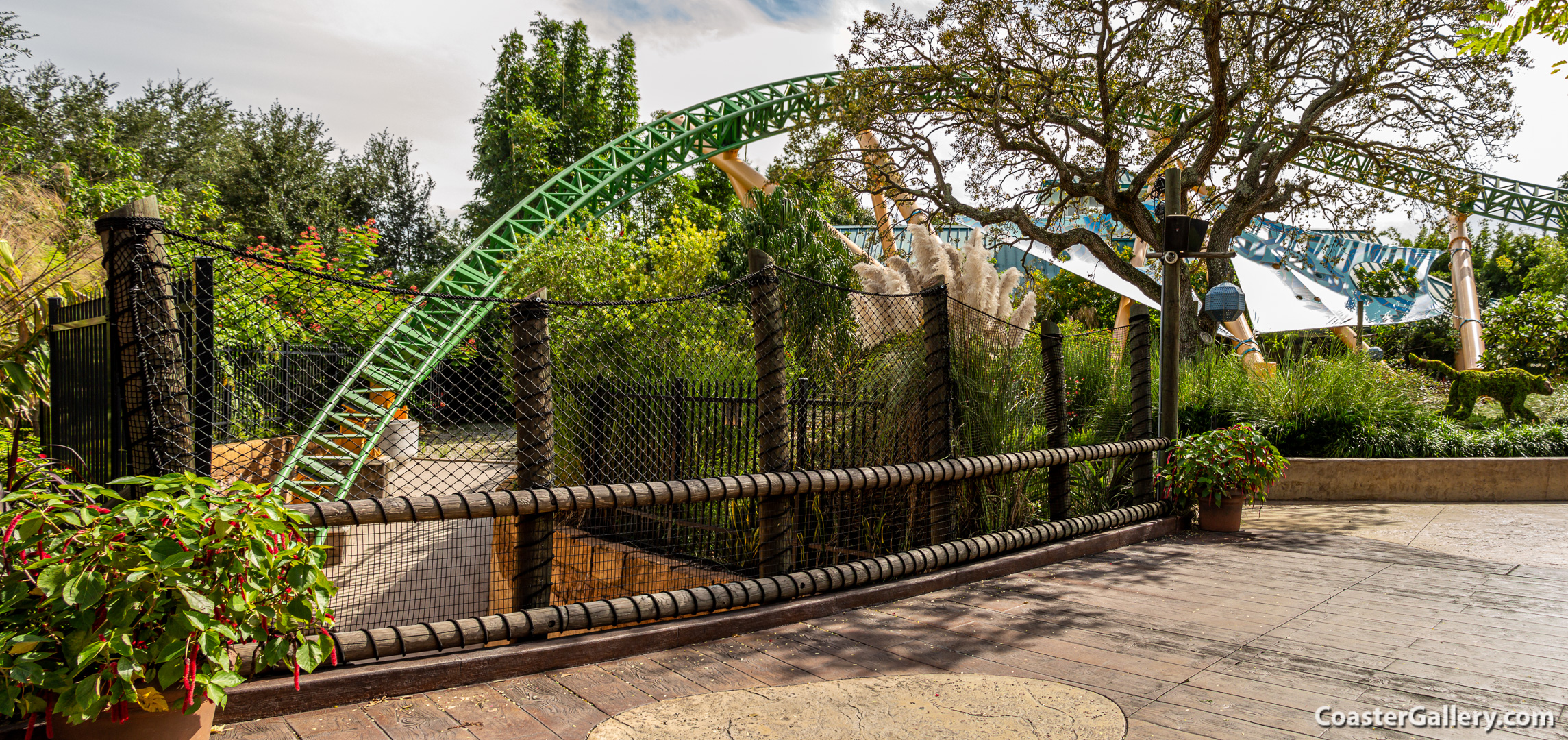 Pictures of the Cheetah Hunt roller coaster at Busch Gardens Tampa