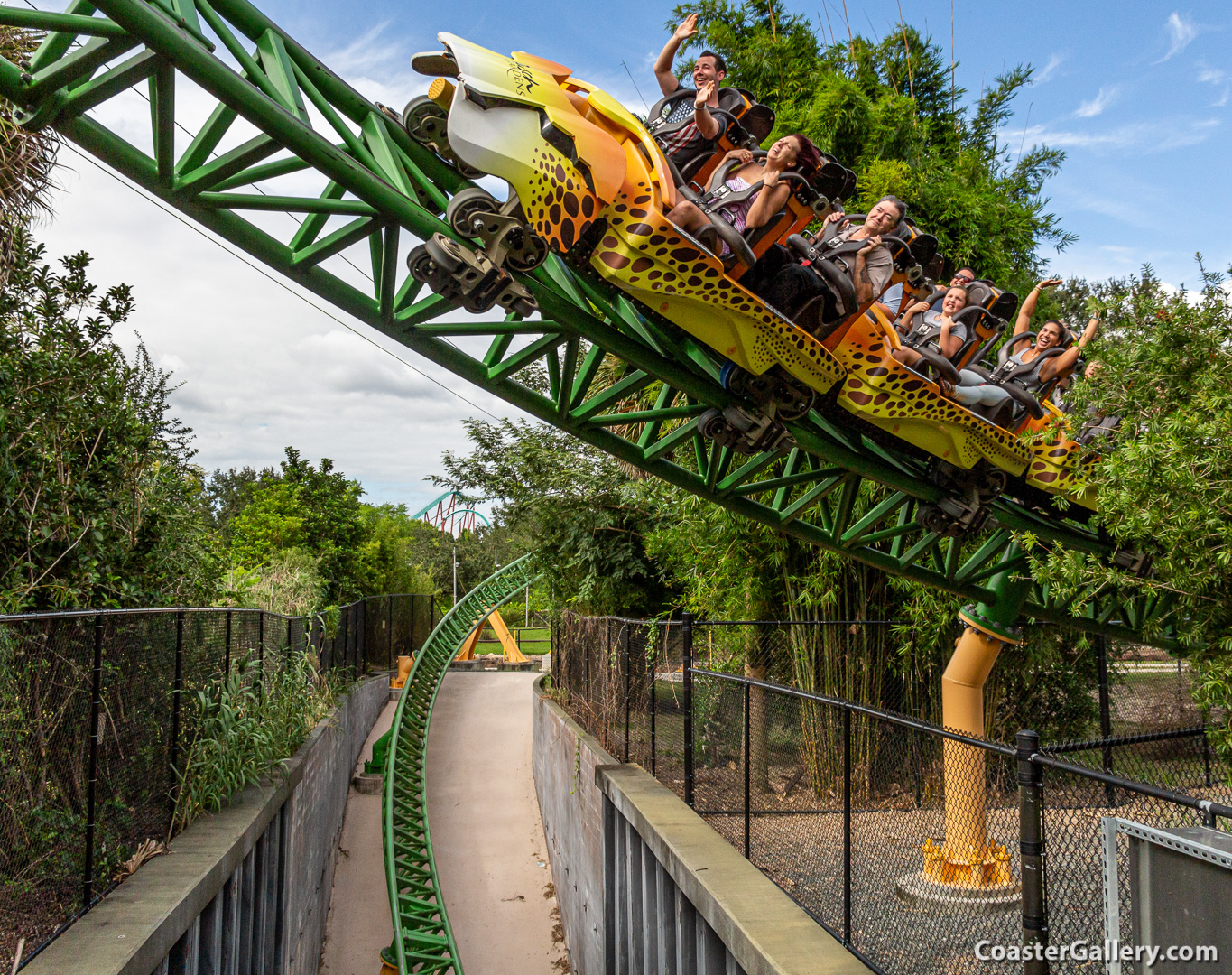 Going below ground on the Cheetah Hunt roller coaster at Busch Gardens Tampa