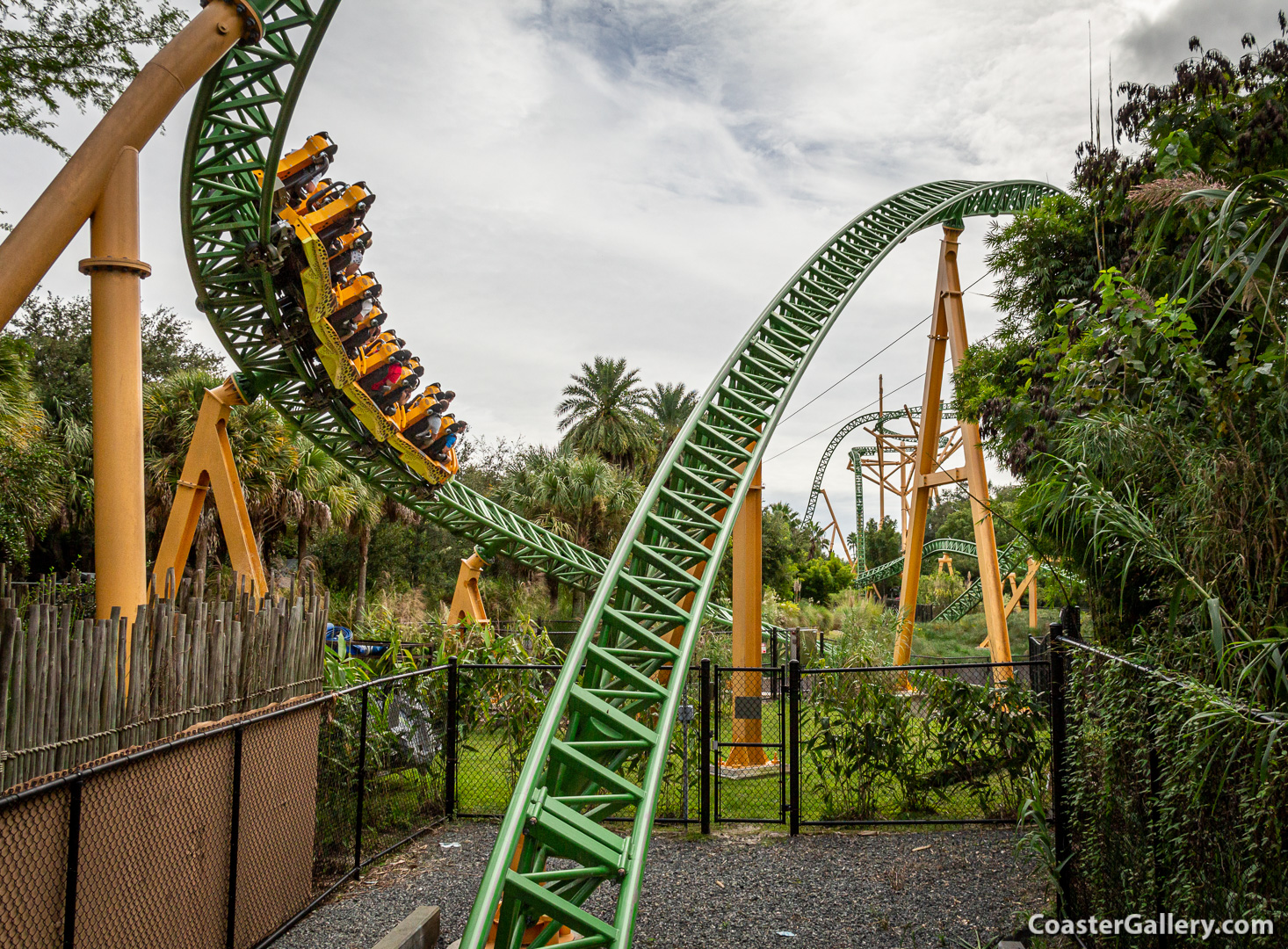 Going below ground on the Cheetah Hunt roller coaster at Busch Gardens Tampa