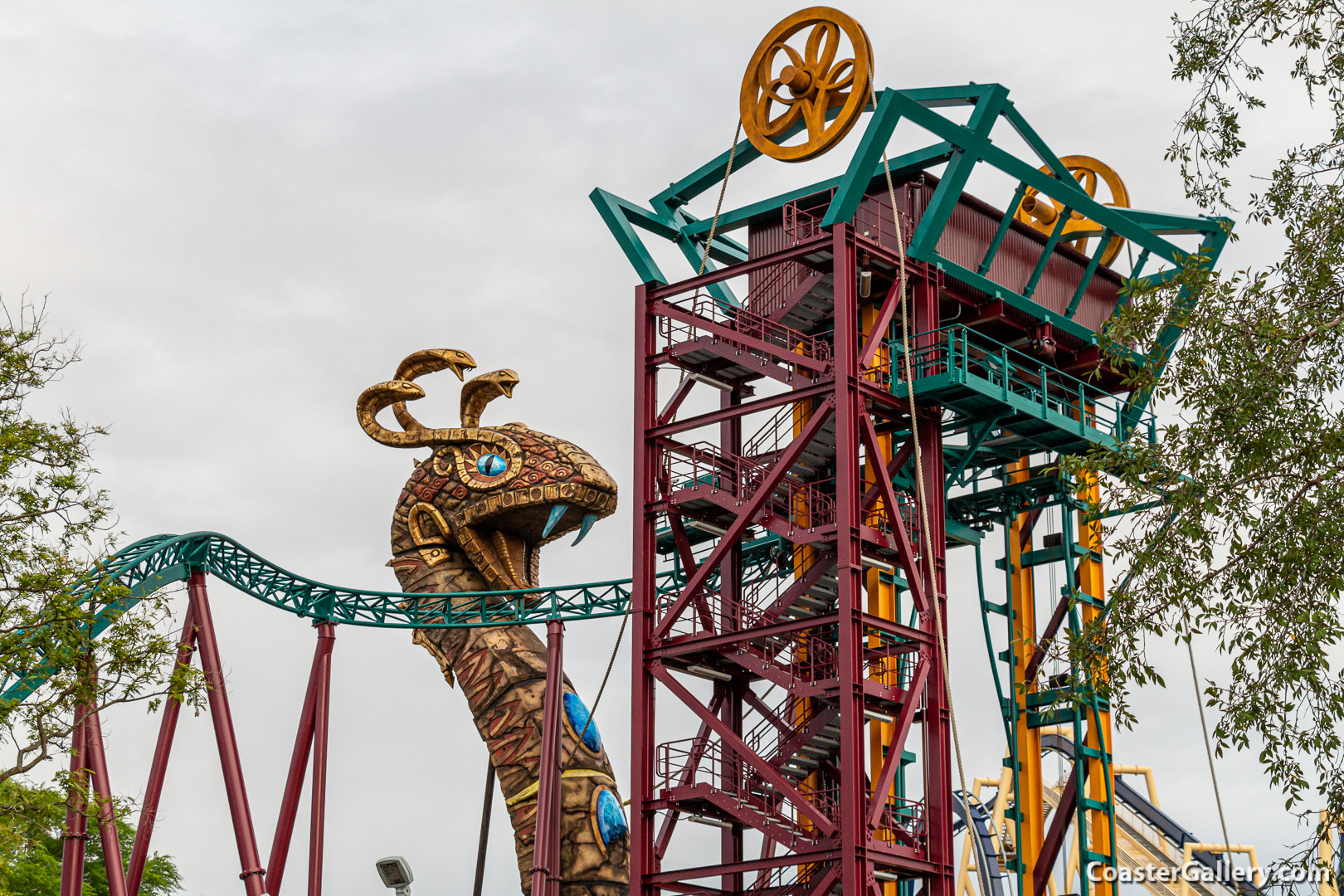 Pictures and videos of the Cobra's Curse roller coaster in Tampa, Florida