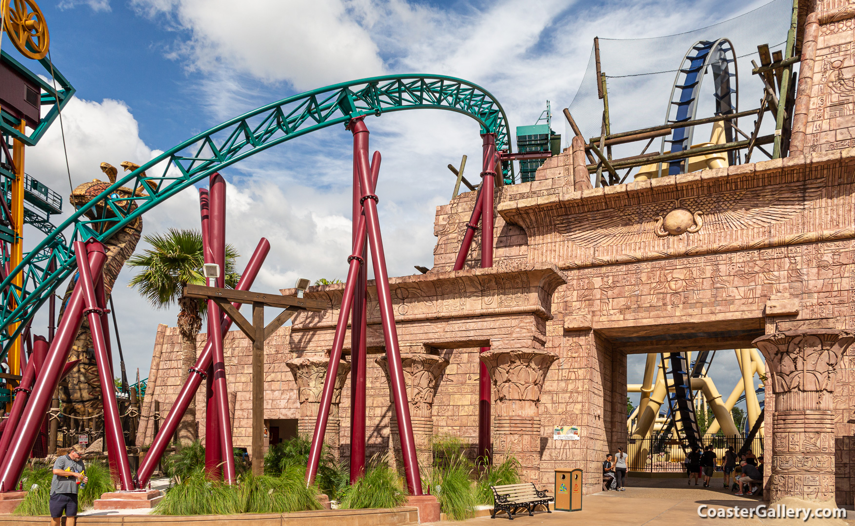 Cobra's Curse and Montu roller coasters at Busch Gardens Tampa