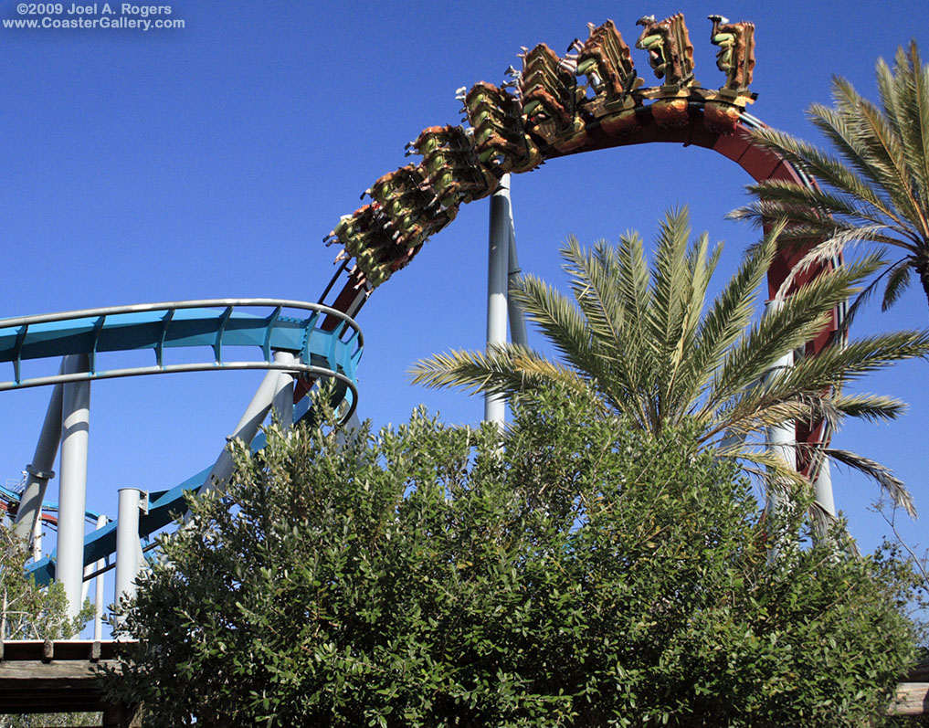 Immelman inversion on a dueling roller coaster.