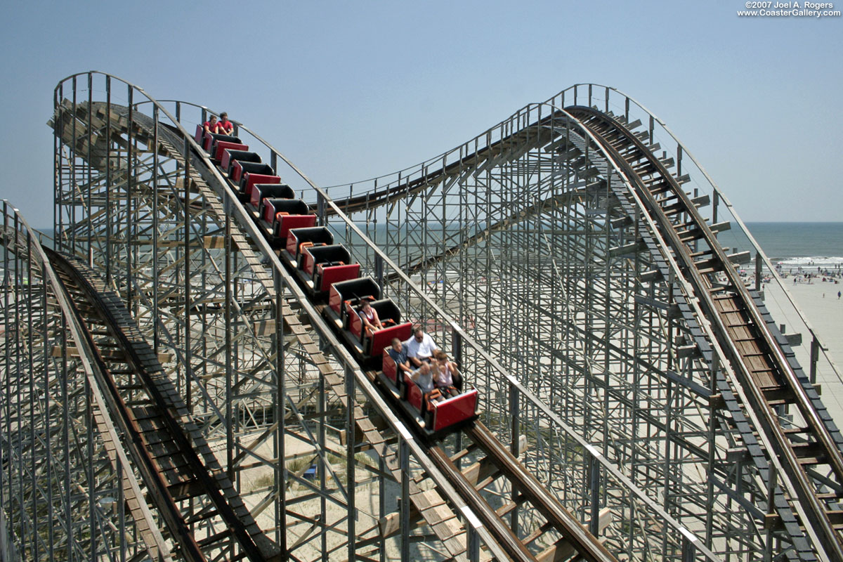 Close-up of Great White