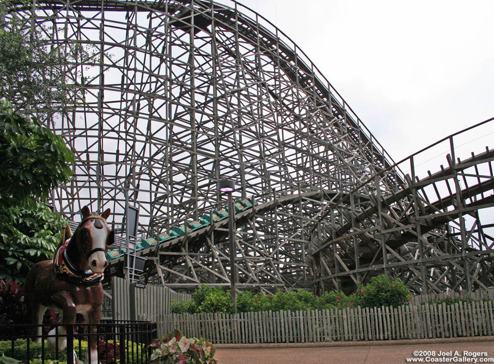 Clydesdale horse and the Gwazi roller coaster at Busch Gardens in Tampa, Florida