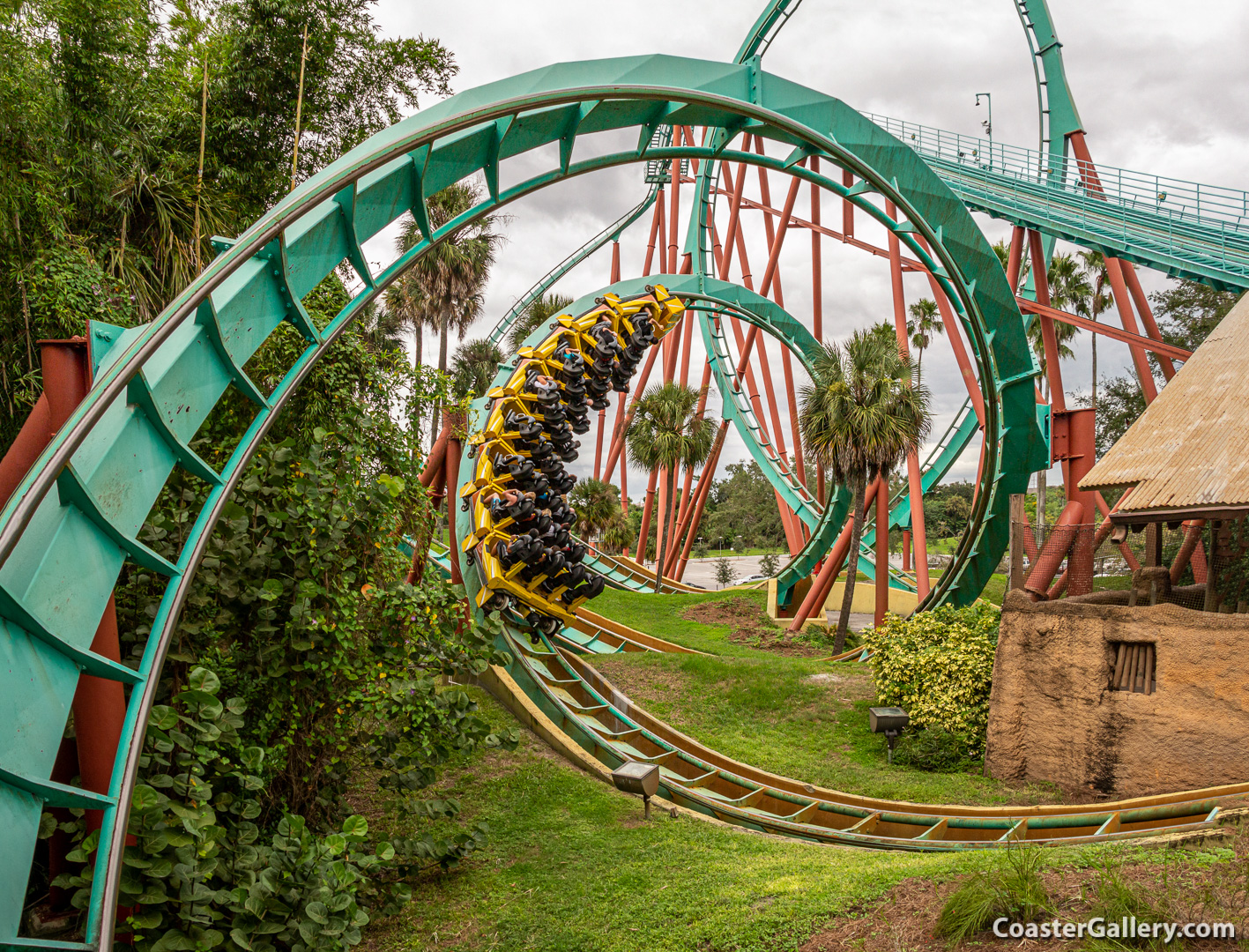 Kumba's interlocking loops