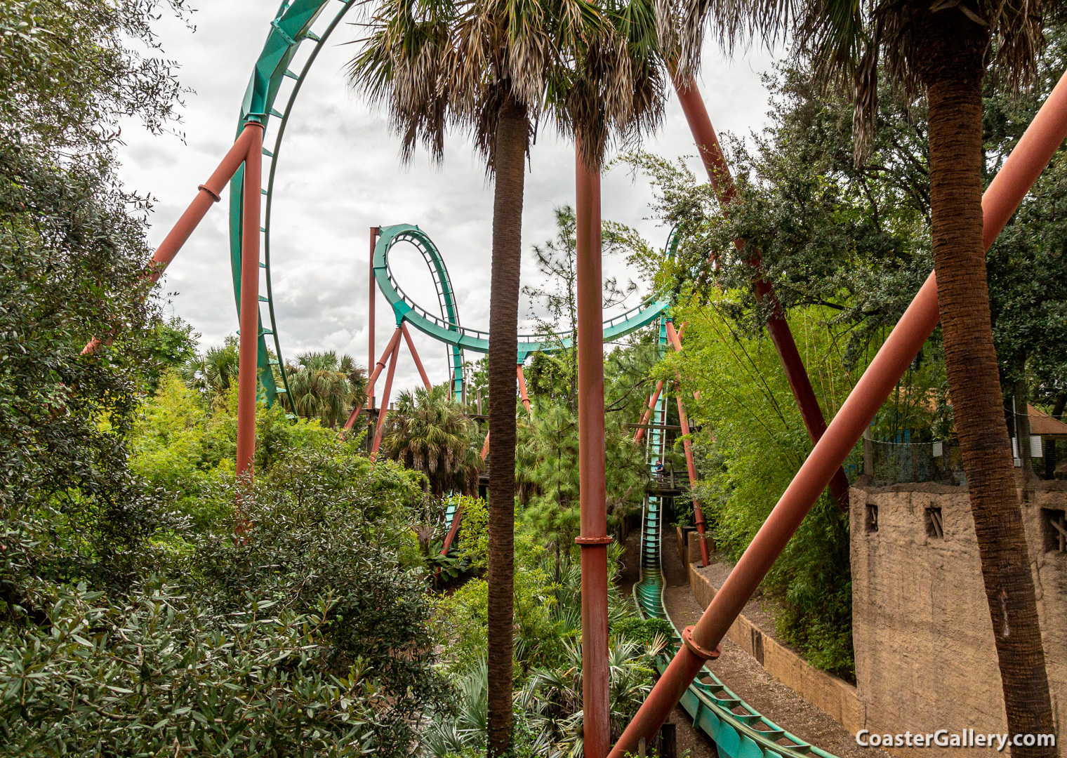 A picture of Kumba roller coaster train going through a Cobra Roll