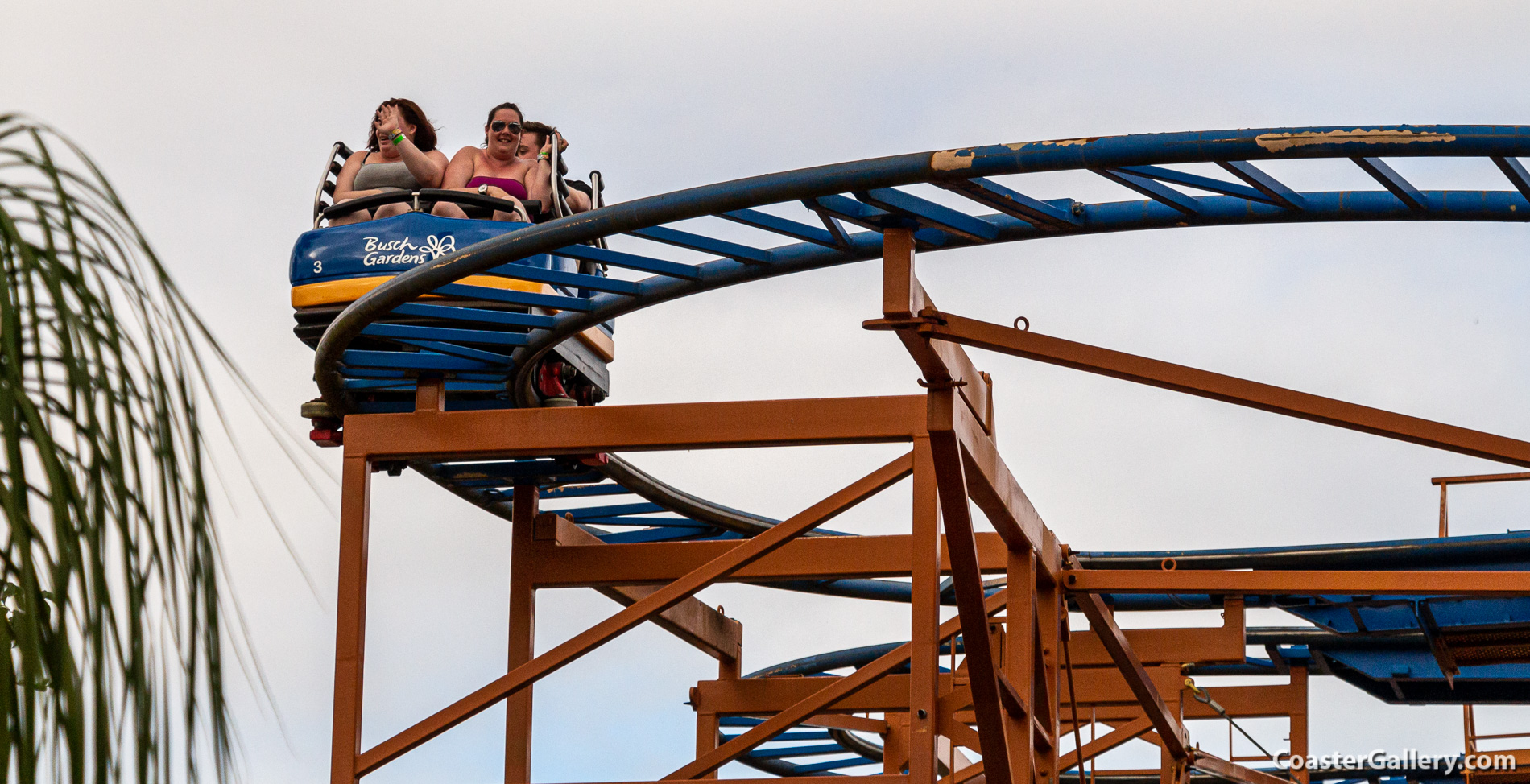 Sand Serpent roller coaster