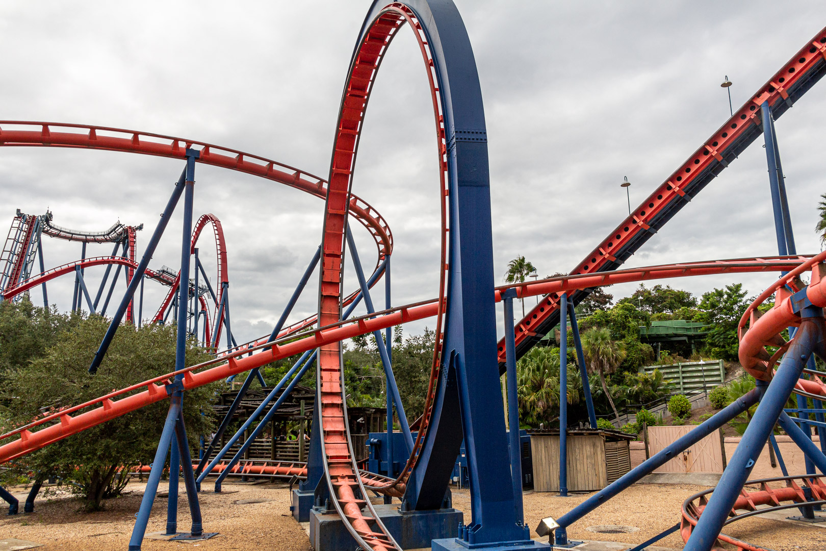 Scorpion roller coaster in Tampa, Florida