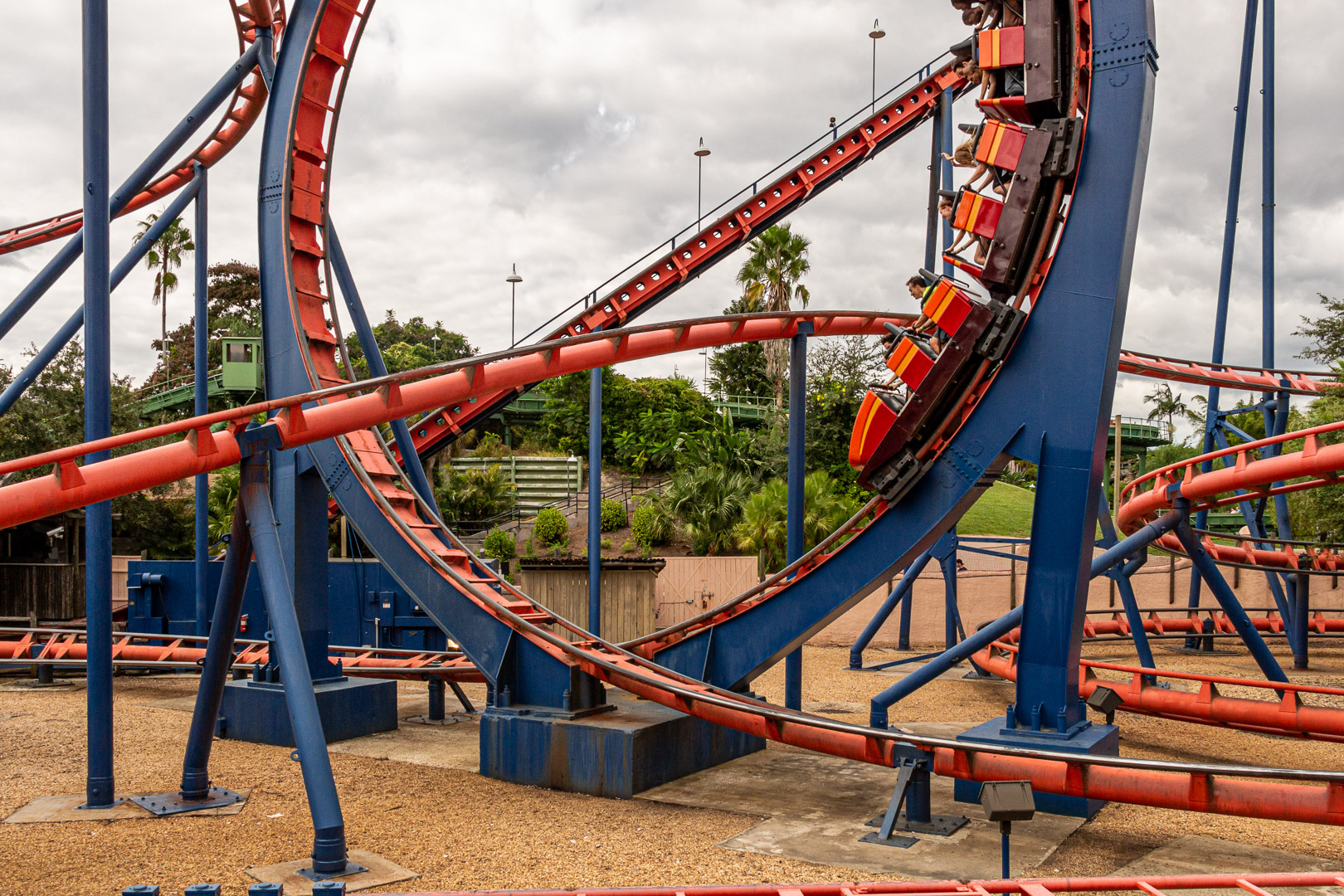 G-Forces on a roller coaster