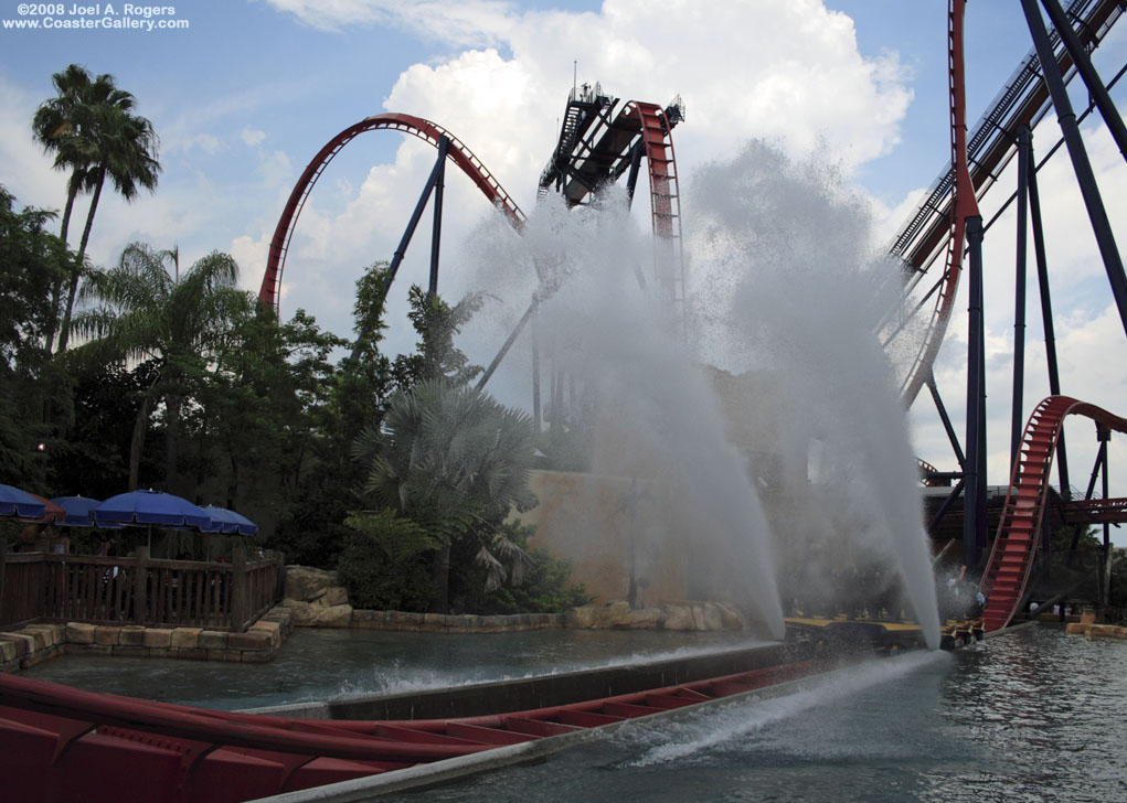 Diving coaster in Florida