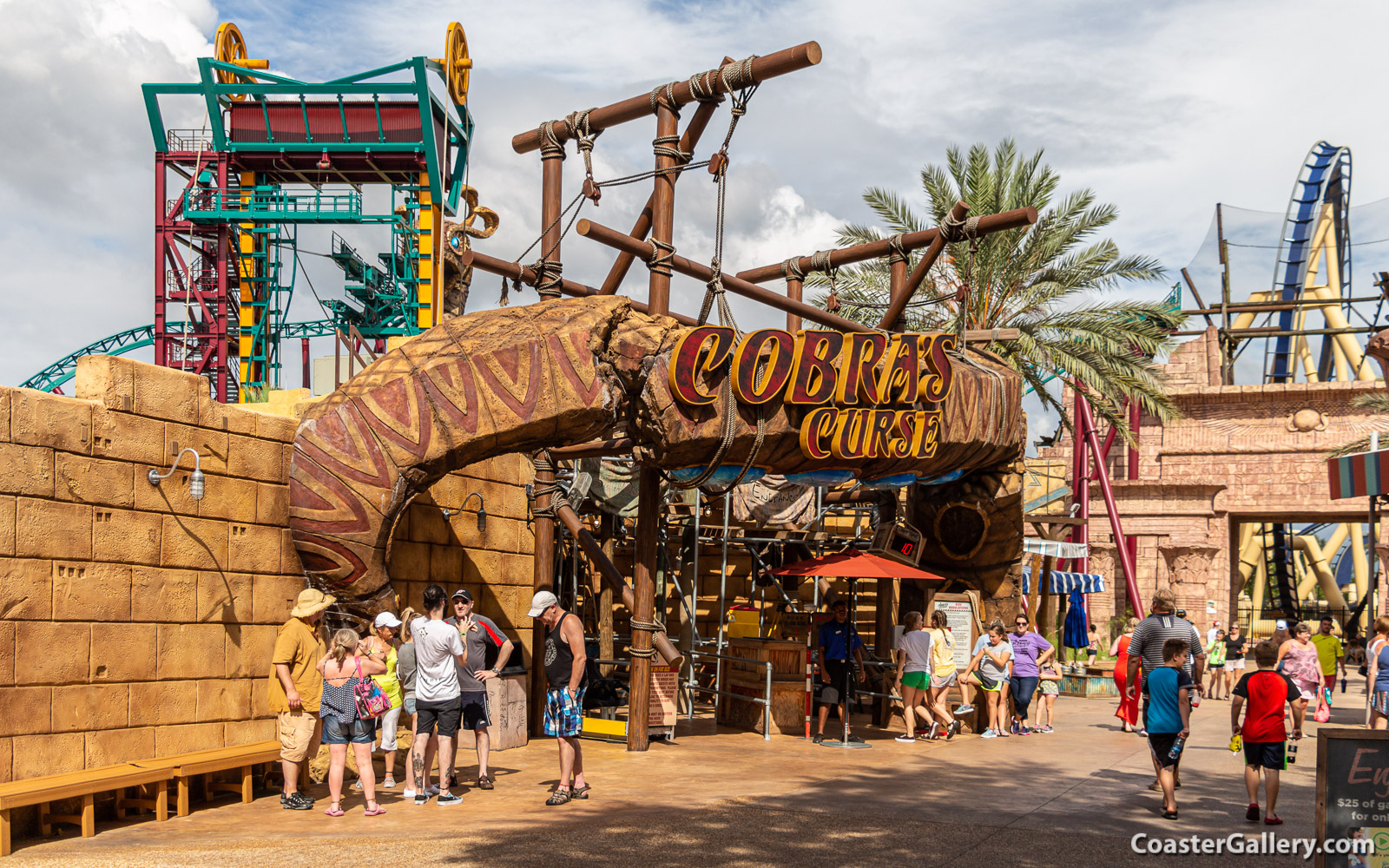 Pictures of the Cobra's Curse roller coaster at Busch Gardens Tampa in Tampa Bay, Florida