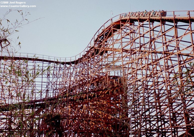 Dueling/Racing roller coaster