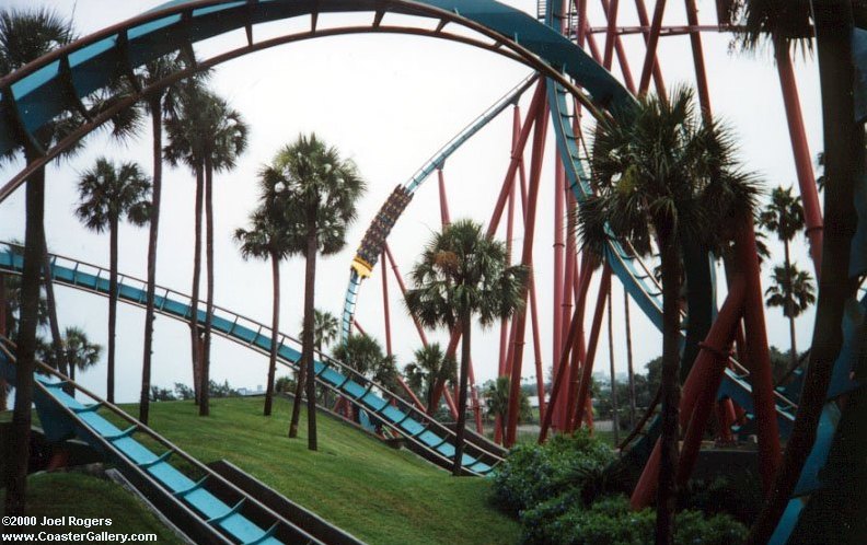 Kumba at Busch Gardens Africa (Tampa Bay)