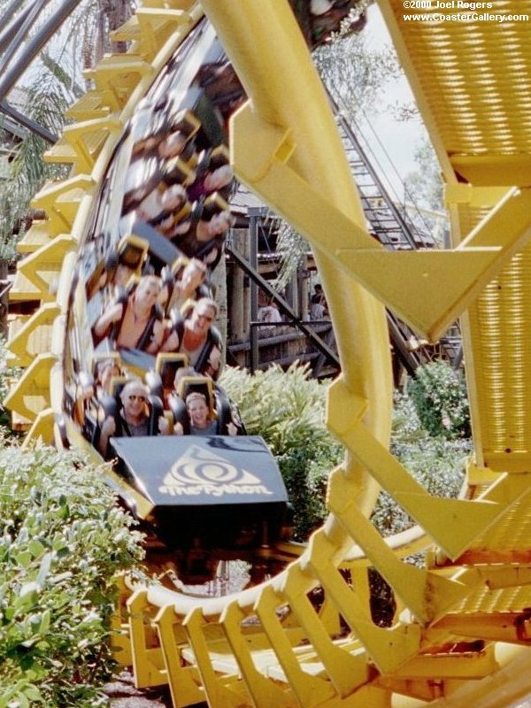 Python corkscrew loop close-up