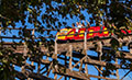 Roller coaster pictures for sale