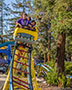 Taxi Jam roller coaster going down