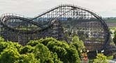 Wildcat at Hersheypark