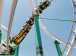 Pictures of the Castles N' Coasters amusement park