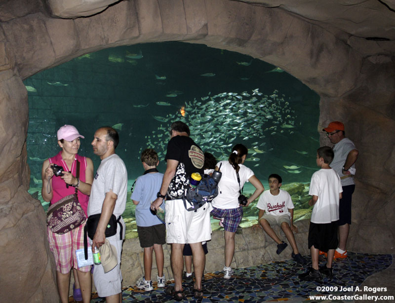 Aqarium in the waiting line for the Manta roller coaster