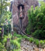 Click to enlarge Animal Kingdom picture