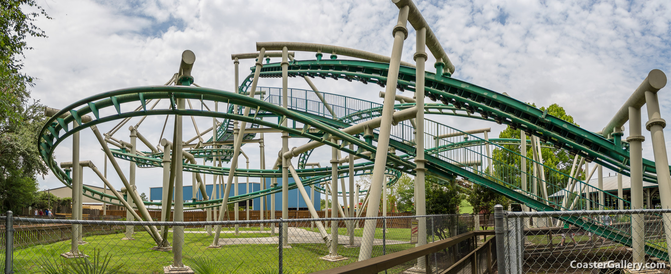 Alligators and the Swamp Thing roller coaster