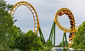 Boomerang at Wild Adventures amusement park