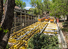 Gold Rusher roller coaster