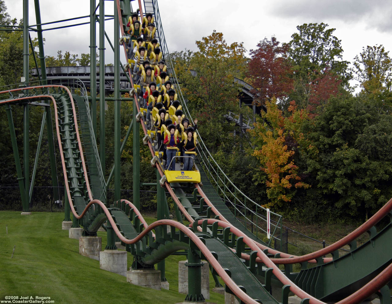 First drop on a roller coaster with fall colors in the trees