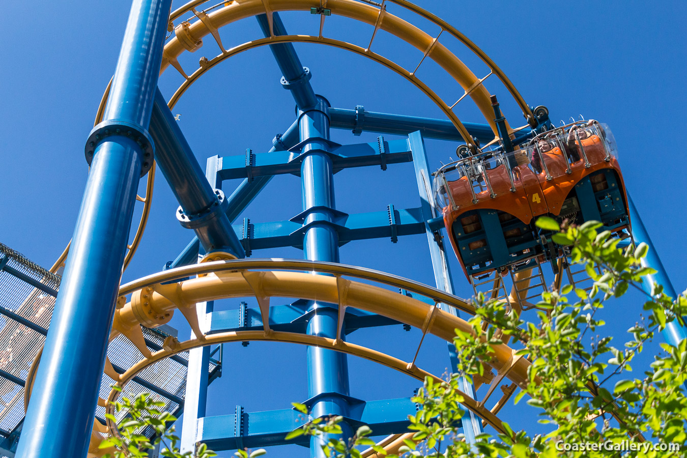 Time Warp roller coaster pictures