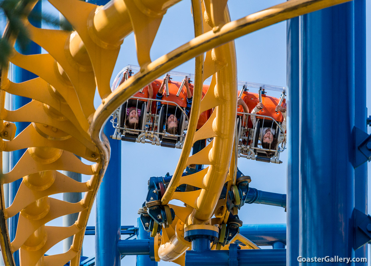 Time Warp roller coaster pictures