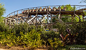 Coastersaurus coaster at Legoland Florida