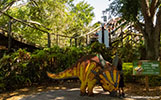 Coastersaurus coaster at Legoland Florida