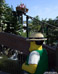 LEGOLAND pictures