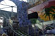 Pirate's Hideaway at Casino Pier Pirate's Hideaway at Casino Pier