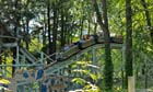 Click to enlarge wooden roller coaster