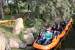 click to enlarge Arrow kiddie coaster pic