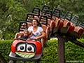 Roller coaster in the Canadian woods