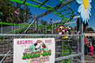 Lady Bug Coaster roller coaster pictures